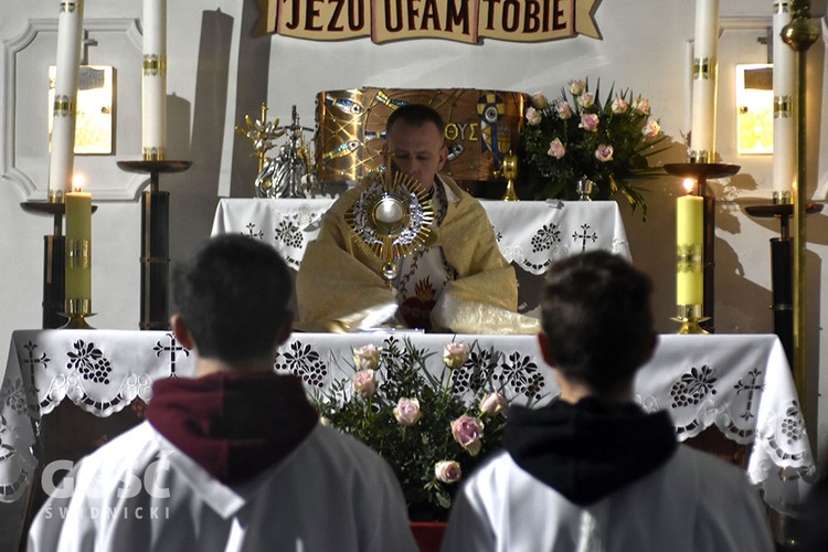 Msza św. z modlitwą o uzdrowienie w Świdnicy