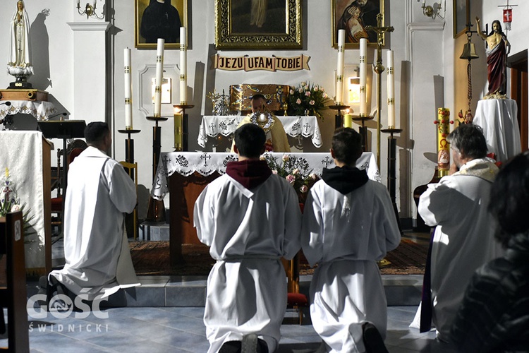 Msza św. z modlitwą o uzdrowienie w Świdnicy