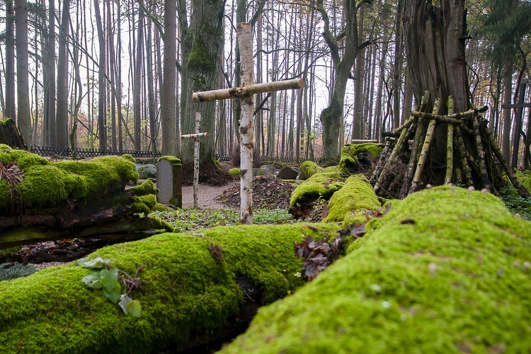 Cmentarz Leśników