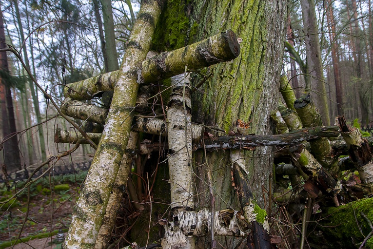 Cmentarz Leśników