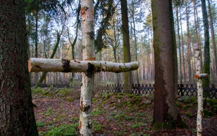 Cmentarz Leśników