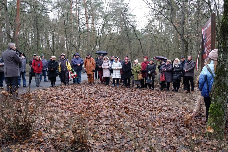 Odsłonięcie tablicy w Pile