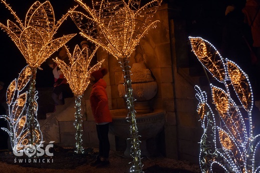 Święta na Zamku Książ