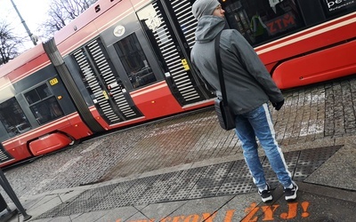 Katowice. Akcja policji na przejściach dla pieszych