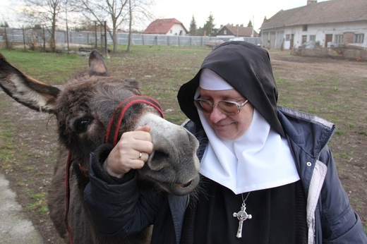 Opactwo mniszek benedyktynek w Staniątkach