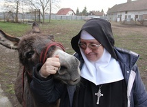 Najlepsze karpie sprzedają w Staniątkach