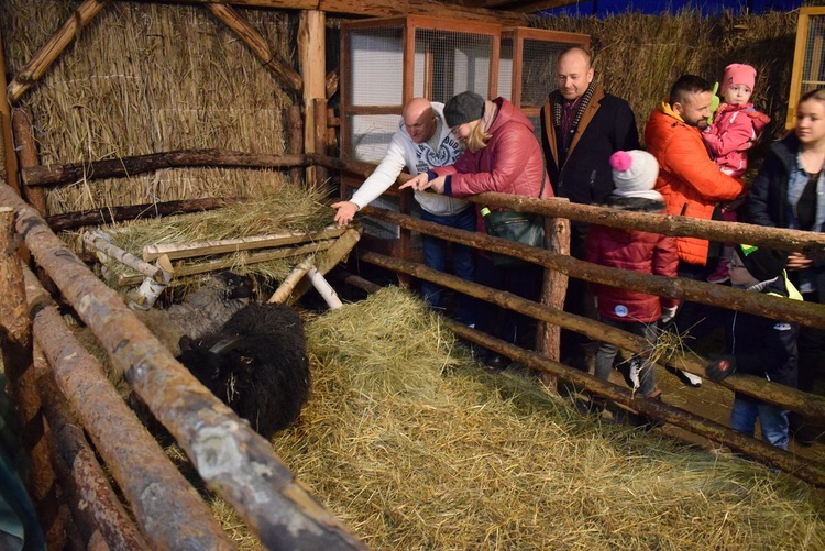 Żywa Szopka w Sandomierzu