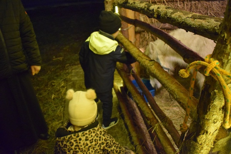 Żywa Szopka w Sandomierzu