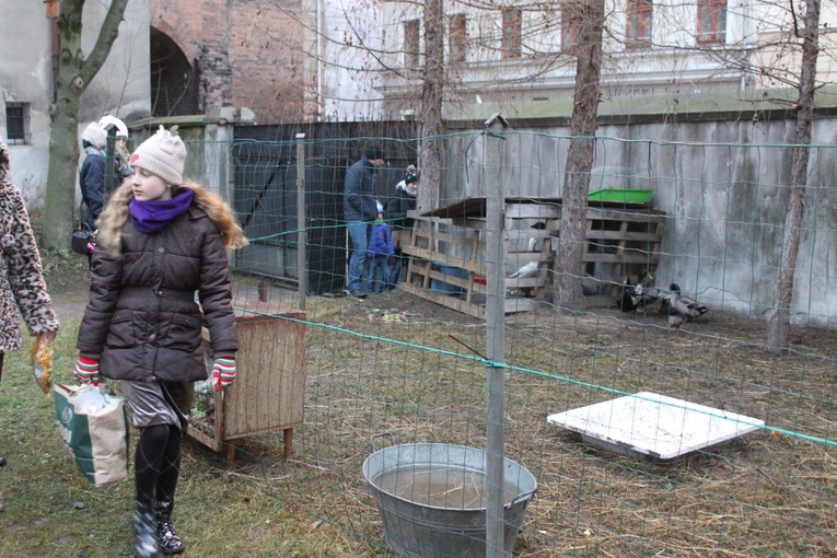 Żywa szopka u św. Jana 