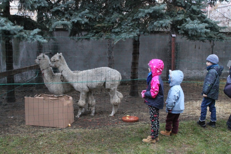 Żywa szopka u św. Jana 