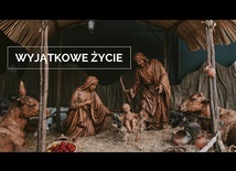 Jedno, wyjątkowe życie