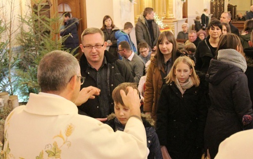 ​6. Diecezjalny Dzień Rodzin w bazylice hałcnowskiej - 2019