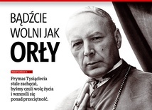 Wybieramy najlepszą okładkę „Gościa” w 2020 roku