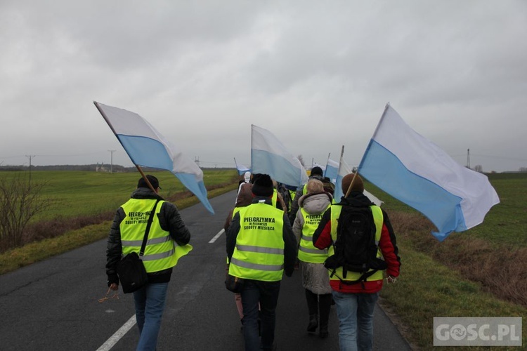 Pielgrzymka w pierwszą sobotę miesiąca do Rokitna