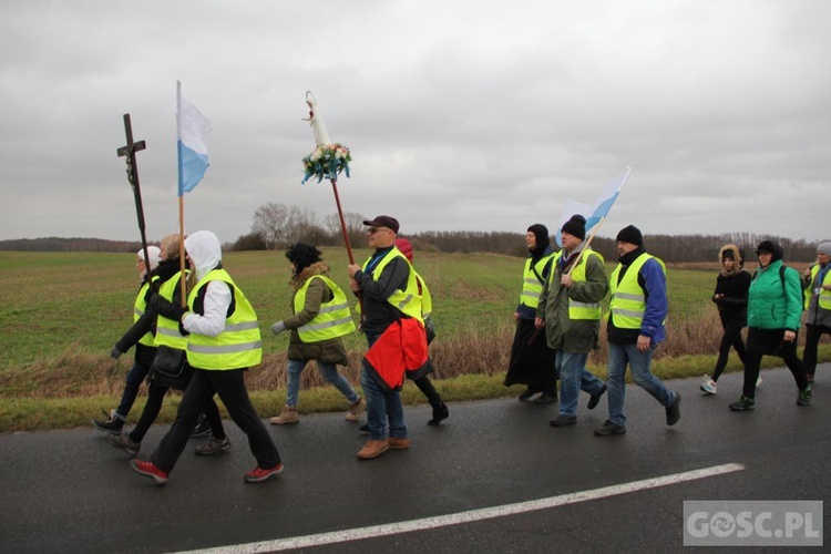 Pielgrzymka w pierwszą sobotę miesiąca do Rokitna