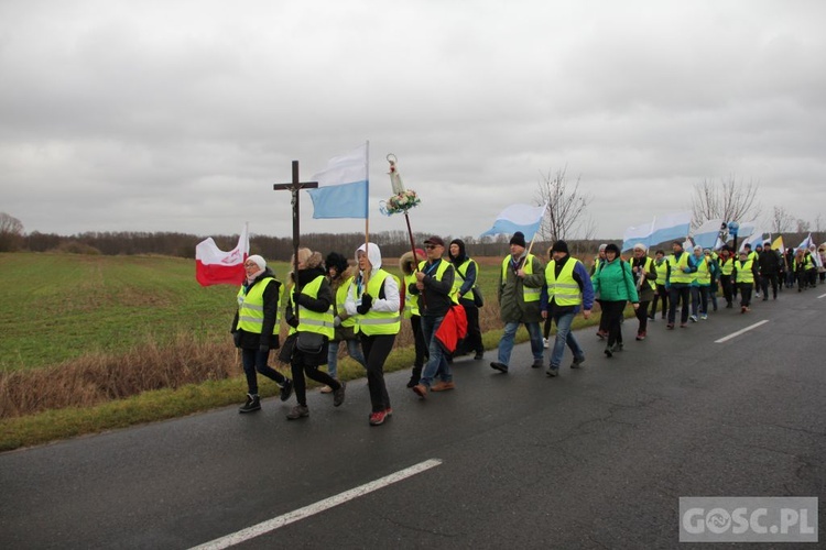 Pielgrzymka w pierwszą sobotę miesiąca do Rokitna