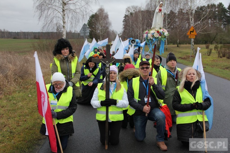 Pielgrzymka w pierwszą sobotę miesiąca do Rokitna