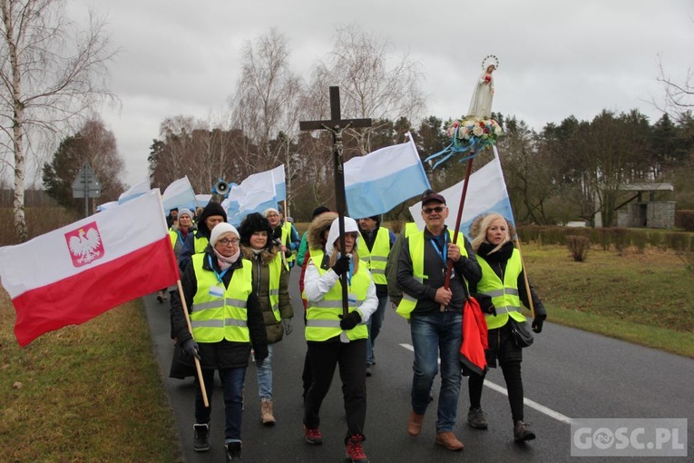 Pielgrzymka w pierwszą sobotę miesiąca do Rokitna