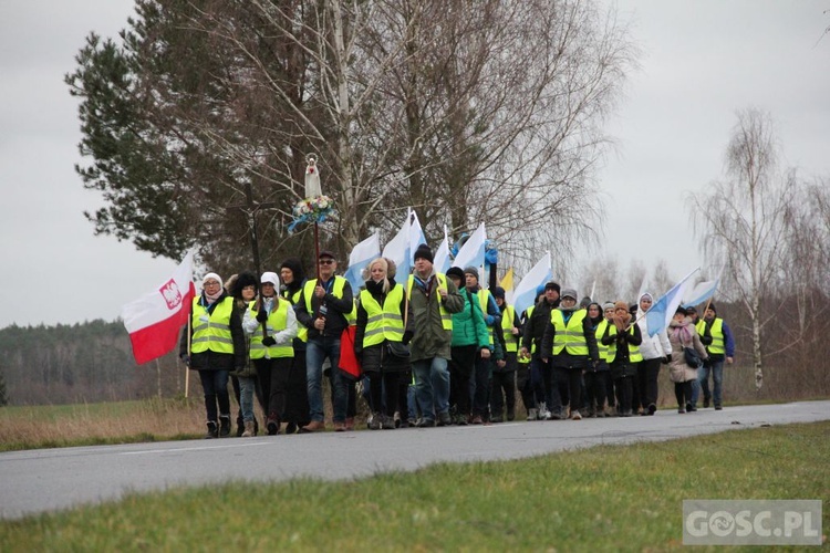 Pielgrzymka w pierwszą sobotę miesiąca do Rokitna