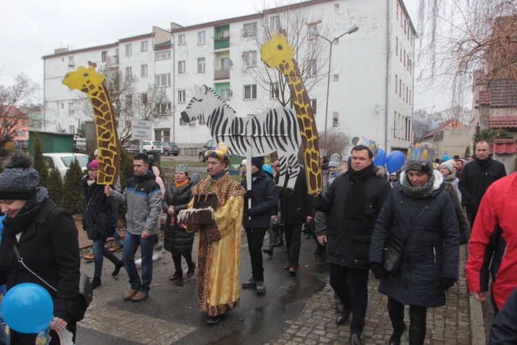 Mędrcy rodem z Chojnowa