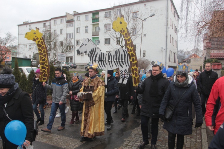 Mędrcy rodem z Chojnowa