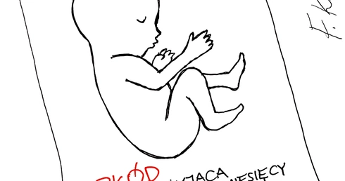 Pijane prawo