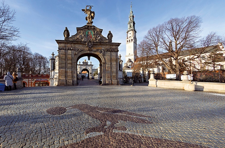 Kruk wita pielgrzymów. Jasna Góra ma więcej wspólnego z pustynią,  niż nam się wydaje.