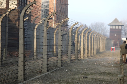 75. rocznica wyzwolenia KL Auschwitz-Birkenau - 2020