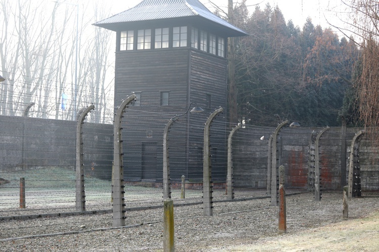 75. rocznica wyzwolenia KL Auschwitz-Birkenau - 2020