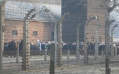 75. rocznica wyzwolenia KL Auschwitz-Birkenau - 2020