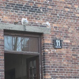 75. rocznica wyzwolenia KL Auschwitz-Birkenau - 2020