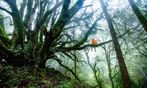 Świat inny niż z perspektywy codziennych obowiązków