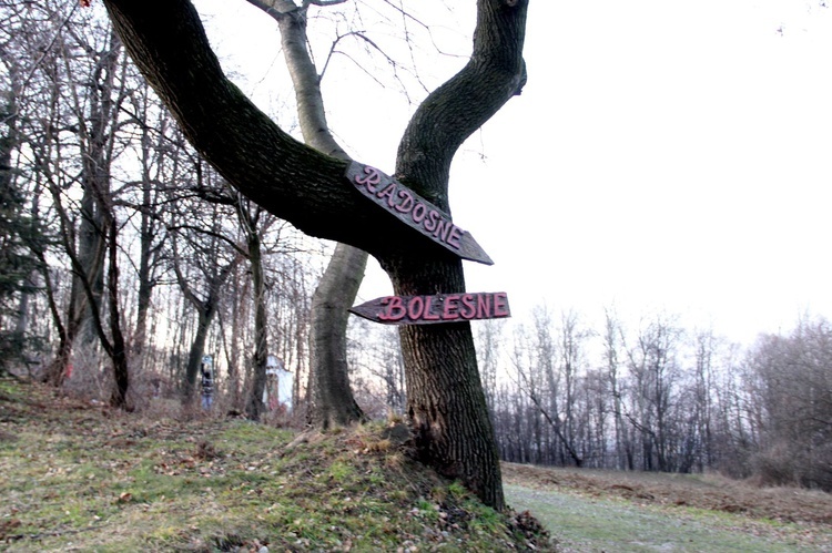 Zawada. Dróżki Różańcowe (luty 2020)