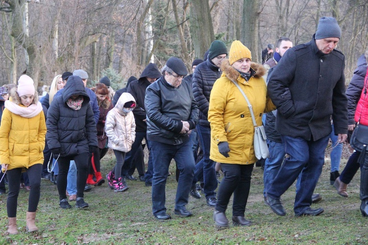 Zawada. Dróżki Różańcowe (luty 2020)