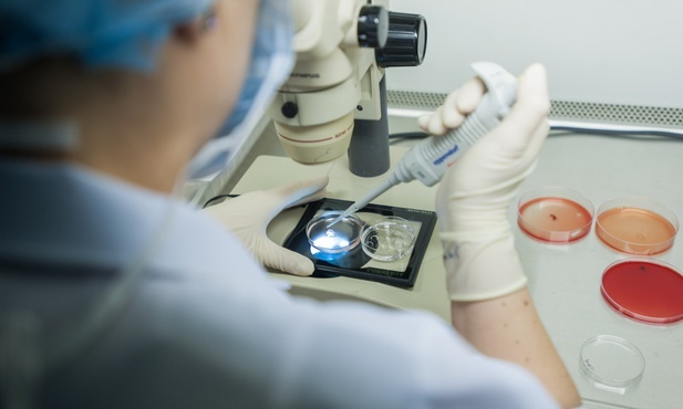 Stanowczy głos Kościoła w sprawie in vitro bez ojca