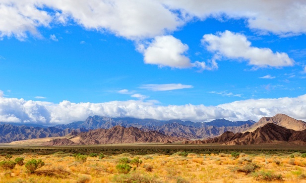 Duchowość benedyktyńska