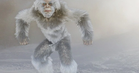 Yeti ochrania indyjskie lotnisko przed małpami