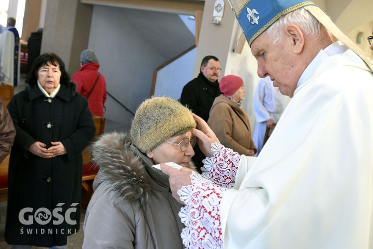 Światowy Dzień Chorych w Świdnicy