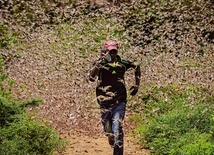 Mężczyzna uciekający przed gigantycznym rojem szarańczy 200 km na wschód od Nairobi.
24.01.2020 Kenia