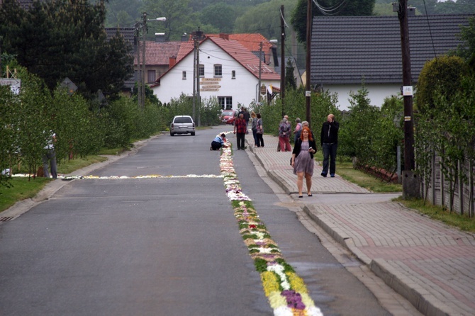 Kwietne dywany na listę Światowego Dziedzictwa UNESCO