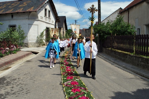 Kwietne dywany na listę Światowego Dziedzictwa UNESCO