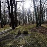 Cmentarz Tryński w Gliwicach