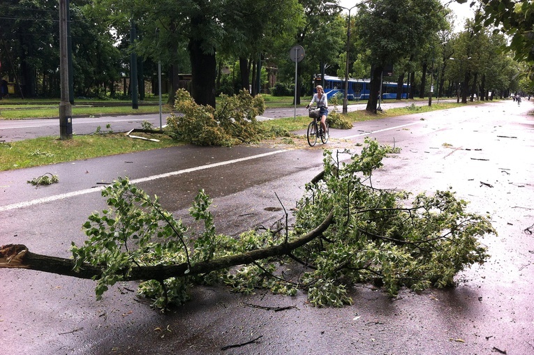 Wieje, ale na szczęście mało szkód