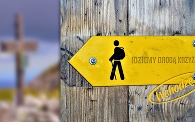 "Idziemy Drogą Krzyża". Jest nas już ponad 700!