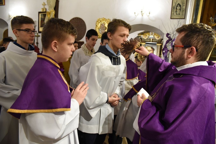 Popielec i orzechy św. Świerada w Tropiu