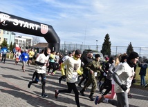 Przasnysz. Bieg "Wilczym Tropem"