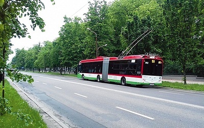 Najnowsze koncepcje urbanizacyjne muszą brać pod uwagę ilość i jakość roślin.