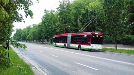 Najnowsze koncepcje urbanizacyjne muszą brać pod uwagę ilość i jakość roślin.