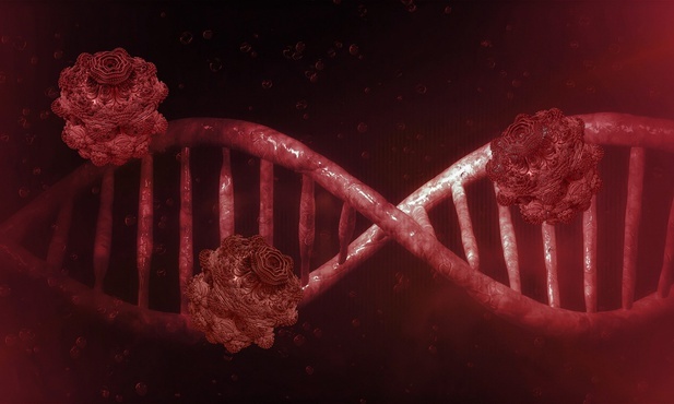 Leżajsk, Wrocław, Lublin, Łódź, Warszawa, Szczecin. Kolejne 10 przypadków zakażenia koronawirusem. Dobry stan pacjentów w śląskiem