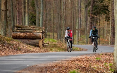 Do lasu wybierz się pieszo, rowerem lub własnym samochodem. Unikaj komunikacji miejskiej.